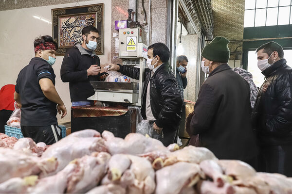 توزیع ۶۱۲ تن مرغ طی هفته آینده در خراسان شمالی