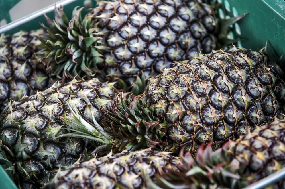 قیمت هر کیلو آناناس در میدان ۲۰ هزار در بازار ۹۰ هزار تومان