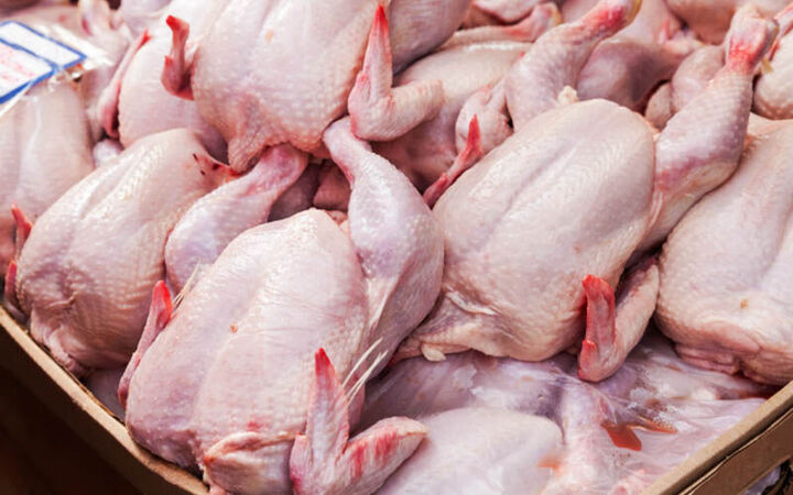 شهروندان قزوینی هیچ‌گونه نگرانی در خصوص تامین مرغ نداشته باشند