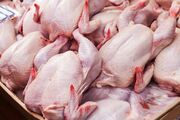 ۲ هزار و ۳۳۱ تن مرغ گرم در بازار قزوین توزیع شد