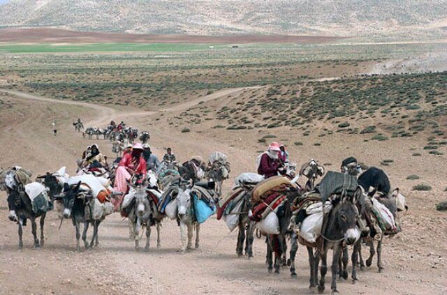 ترمیم و بازسازی ۶۰ کیلومتر از راه عشایری در استان همدان