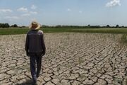 خشک شدن زمین‌های کشاورزی پایتخت سیر ایران درسایه نبود مدیریت صحیح آب رودخانه گنبرف