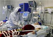 ستاد اجرایی فرمان امام در هرمزگان ۲۰ کپسول اکسیژن به دانشگاه علوم پزشکی اهدا کرد