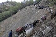 کوچ عشایر همدان در مسیر مشکلات؛ ۱۰۰ درصد ایل راه‌ها تخریب شده است