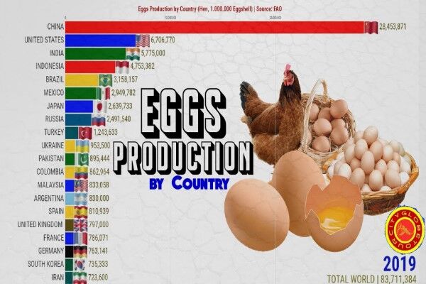 چین تولیدکننده شماره یک تخم مرغ در جهان