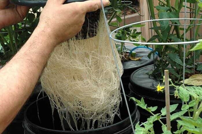 خشکسالی فراتر از یک بحران | نیازمند «آب مجازی» و ورود دانش بنیانها هستیم