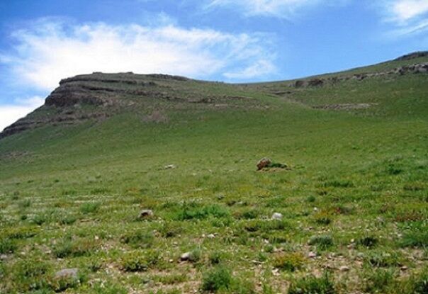 خشکسالی تولید علوفه در مراتع همدان را ۴۲ هزار تن کاهش داد