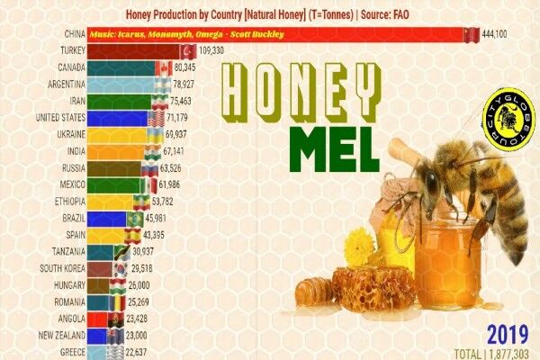 رقابت چین و ترکیه در تولید عسل