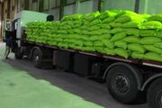 انتقال برنج توسط ۱۵۰۰ کامیون از بنادر استان بوشهر به نقاط مختلف کشور