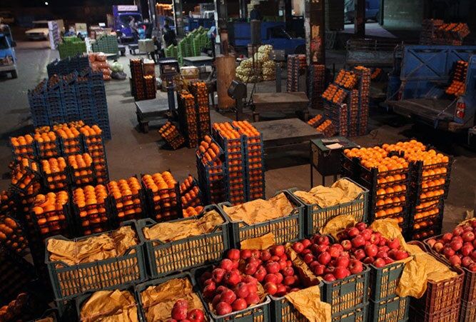 لزوم تسهیل در شرایط صادرات محصولات کشاورزی کردستان/۳۵۰ هزار تن سیب زمینی در استان تولید شد