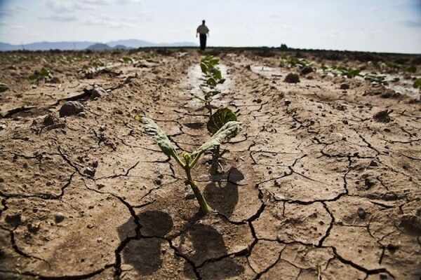 خشکسالی همچنان در خراسان جنوبی می تازد| تابستان گرم پیش روی کویر