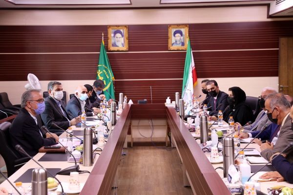 همکاری ایران و اقلیم کردستان عراق برای تبادل دانش دامپروری و صادرات محصولات دامی