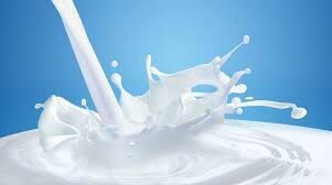 ایجاد التهاب در بازار با انتشار خبر افزایش قیمت شیرخام