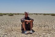 داغ آب بر پیشانی دامداران سیستان و بلوچستان| کاهش محسوس تولیدات دامی عشایر