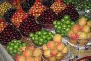 سرمازدگی بهاره قیمت میوه ها را در بازار همدان افزایش داد