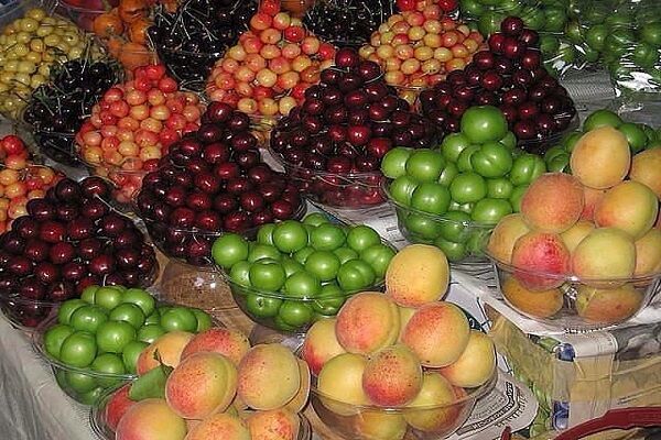 تیغ گرانی بر میوه های تابستانی در بازار خراسان جنوبی/هزینه حمل و نقل قیمت را افزایش داد