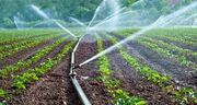 راهکار آمریکا برای رفع بحران آب کشاورزی؛ عرضه سهام آب