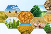 ۹۰ درصد تولیدات کشاورزی ایران آبی است/ سهم ۱۰ درصدی تجارت کشاورزی