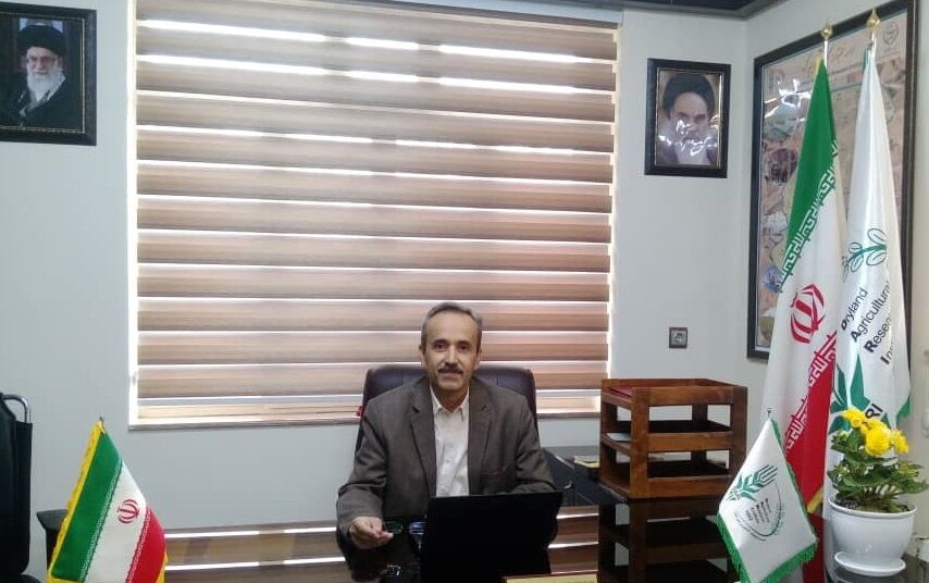 پیش بینی تولید ۱۰ میلیون تن محصولات زراعی با اجرای طرح جهش تولید در دیمزارها