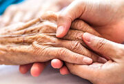 وزارت رفاه موظف به ارائه خدمات رایگان به افراد نیازمند به مراقبت های ویژه از جمله نگهداری سالمندان