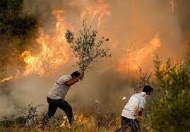 محیط زیست؛ بخشی از مسئولیت اجتماعی شرکتها | درسهایی از آتش سوزی ترکیه