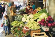 برآورد ارزش بازار جهانی سبزیجات تازه تا ۲۰۳۰| چین و هند؛ در جایگاه اول و دوم تولید