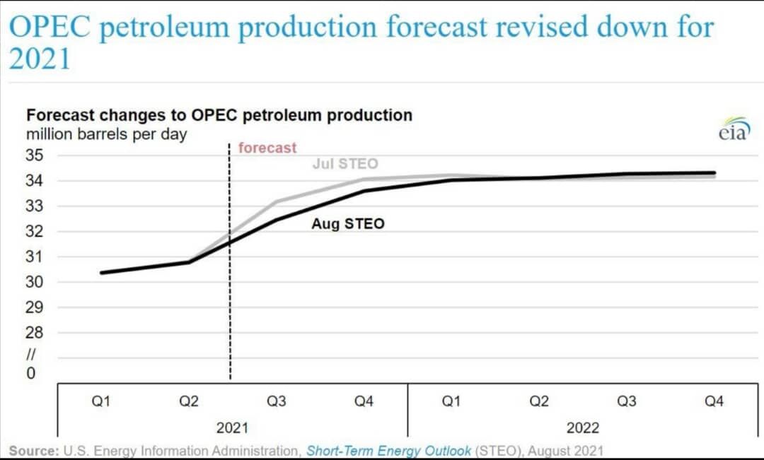افزایش تولید نفت با وجود کاهش قیمت ها| حداکثر تولید اوپک در سال ۲۰۲۱ چقدر است؟
