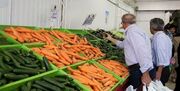قیمت هویج چشم بازار را کور کرد؛ کرونا و افزایش تب خرید