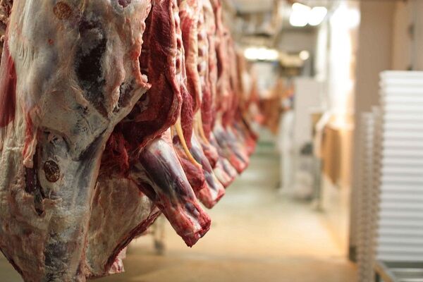 عرضه بیش از ۵۲ هزار تن گوشت قرمز در کشتارگاه‌های رسمی