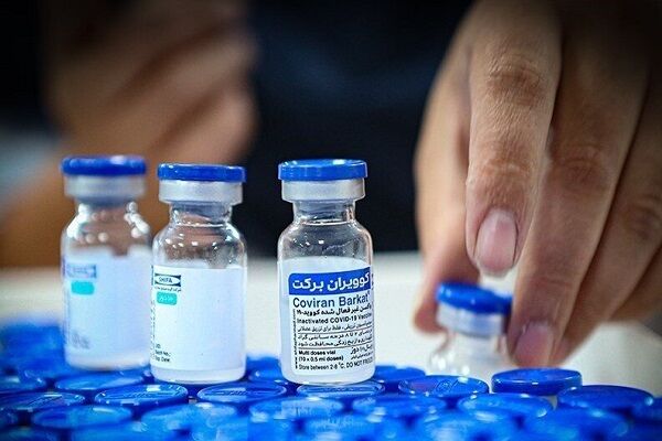 واکسن برکت درآستانه دریافت مجوز از سازمان جهانی بهداشت برای صادرات