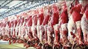 دلایل افزایش بی رویه قیمت گوشت قرمز در ایلام| جلوی قاچاق دام گرفته شود