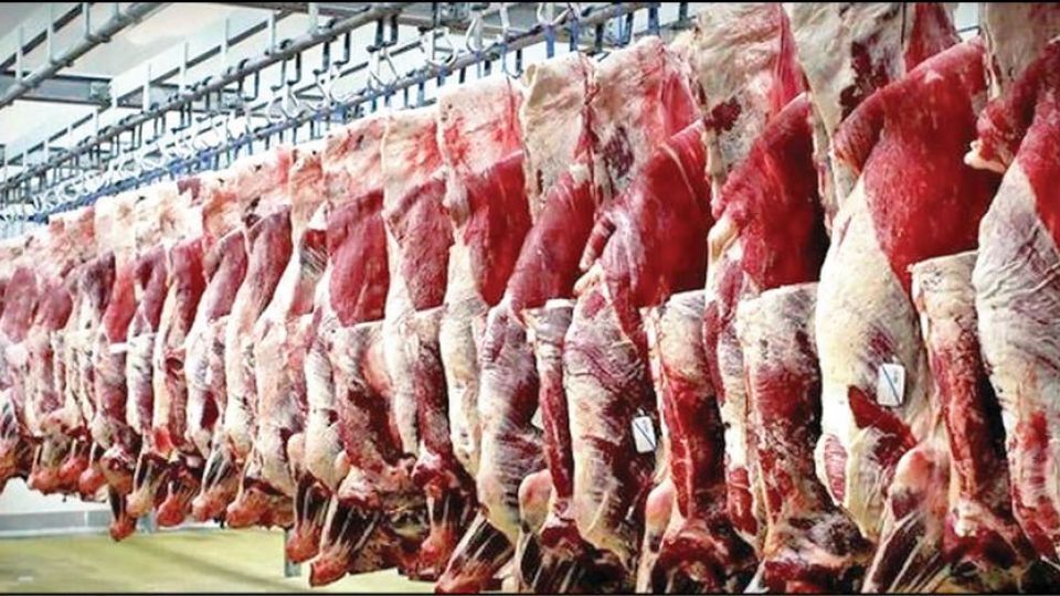 استمرار افزایش قیمت گوشت قرمز در بازار همدان| گرانی بر بازار مواد غذایی سایه انداخته است