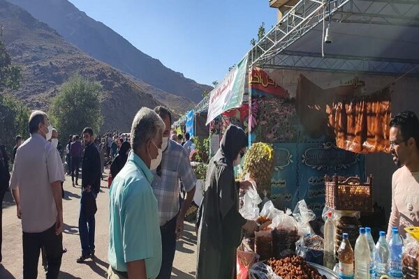 جشنواره آلوی «حیدره قاضی‌خانی» در همدان قدمی به سمت توسعه گردشگری روستایی و کشاورزی