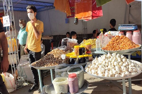 جشنواره آلوی «حیدره قاضی‌خانی» در همدان قدمی به سمت توسعه گردشگری روستایی و کشاورزی