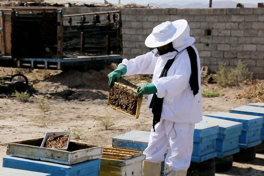 رونق اشتغال برای زندانیان در ایلام|۱۴۰ نفر صاحب شغل شدند