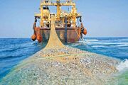 کمبود مواد اولیه صنعت آبزیان به دلیل تردد کشتی های ترال در دریای عمان