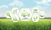 تخمین سطح زیرکشت ۱۳ محصول راهبردی کشاورزی با هوش مصنوعی