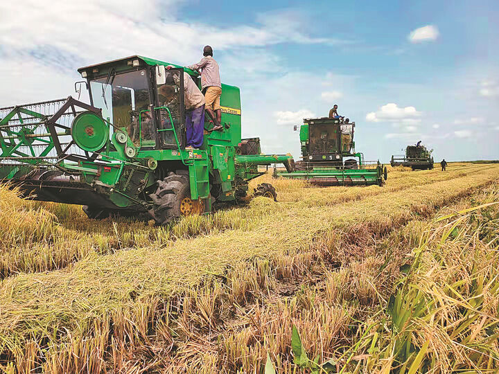 شرکتهای کشاورزی چین به بازار خارج چشم دوخته اند| افزایش ۱۲.۳ درصدی واردات محصولات