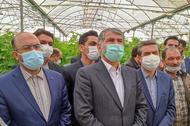 وزیر جهاد کشاورزی از مجتمع گلخانه‌ای ۶۰ هکتاری درجزین بازدید کرد 