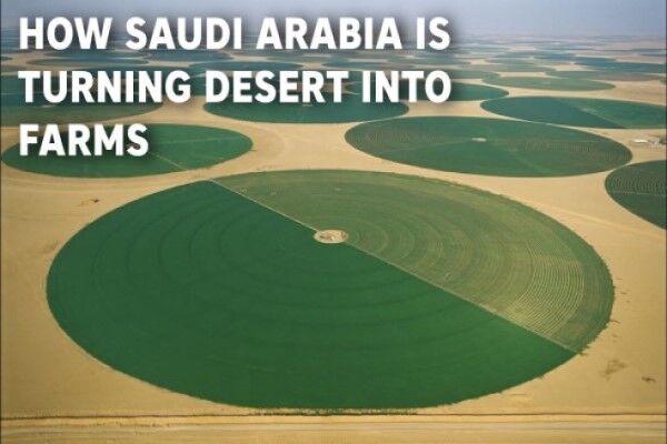 عربستان سعودی چگونه بیابان‌های خود را به زمین‌های کشاورزی تبدیل می‌کند؟
