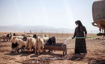 زخم بی آبی بر گرده عشایر| تنش آبی میهمان ۲۲ هزار خانوار عشایری کهگیلویه و بویراحمد