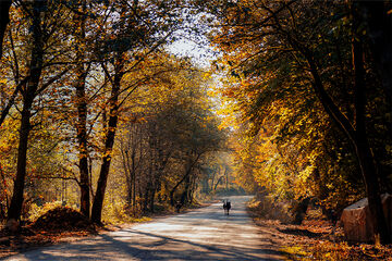 خشک‌ترین پاییز قزوین در ۵۲ سال گذشته تجربه شد