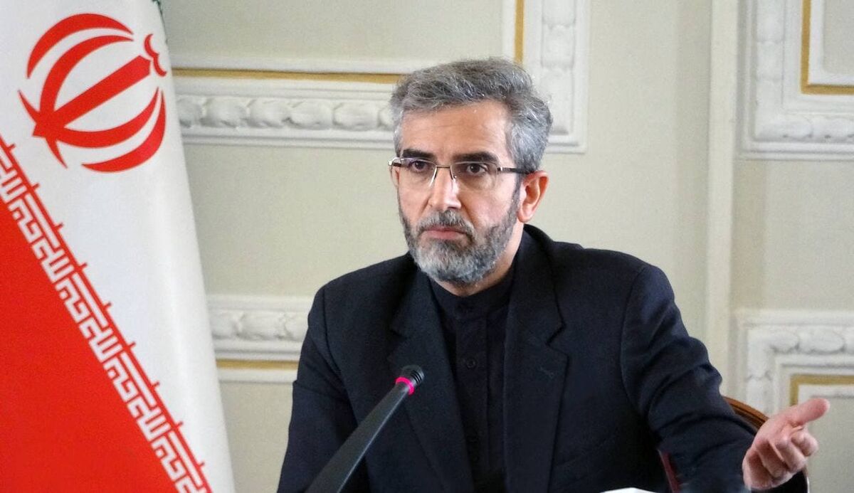 واکنش وزارت امور خارجه به انتشار توییت جعلی از علی باقری