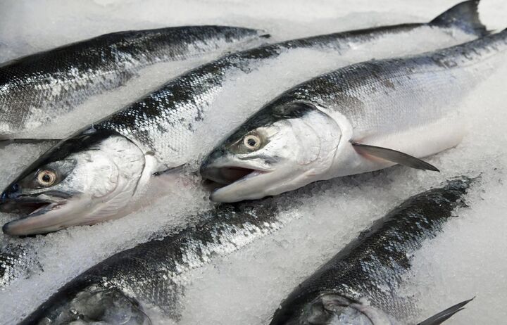قیمت انواع ماهی در ۳۰ خرداد ۱۴۰۱