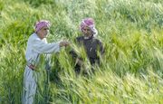 تامین مالی پروژه های کشاورزی ۴۰۰ میلیون دلاری در عربستان| رشد  ۴۰۰ درصدی از ۴ سال گذشته