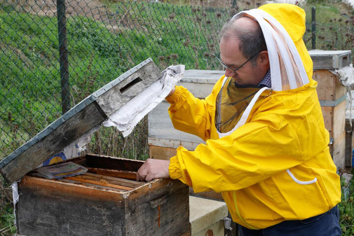 تغییرات اب و هوایی عامل کاهش 50 درصدی تولید عسل