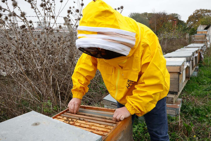 تغییرات اب و هوایی عامل کاهش 50 درصدی تولید عسل