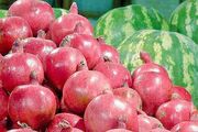 پیش‌بینی تولید ۲۸۰ هزار تن هندوانه پاییزه و شب یلدایی