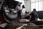 مشهد قطب فراوری و صادرات قهوه است| صنعت نوپا اما پر سود