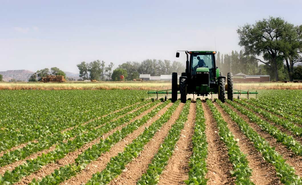 اجرای کشاورزی قراردادی در ۸ هزار و ۱۳۰هکتار از مزارع همدان